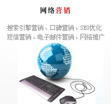 網(wǎng)絡(luò)營(yíng)銷(xiāo)